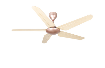 TWIN PACK - Rubine KAZEN Series RCF-KAZEN56-5B-HP/RO - Honey Pine / Royal Oak