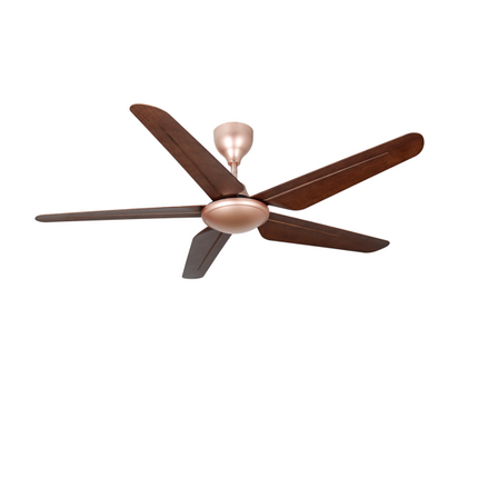 Collection image for: [Cooling Appliances][Ceiling Fan]