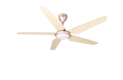 TWIN PACK - Rubine KAZEN Series RCF-KAZEN56-5BL-HP/RO - Honey Pine / Royal Oak
