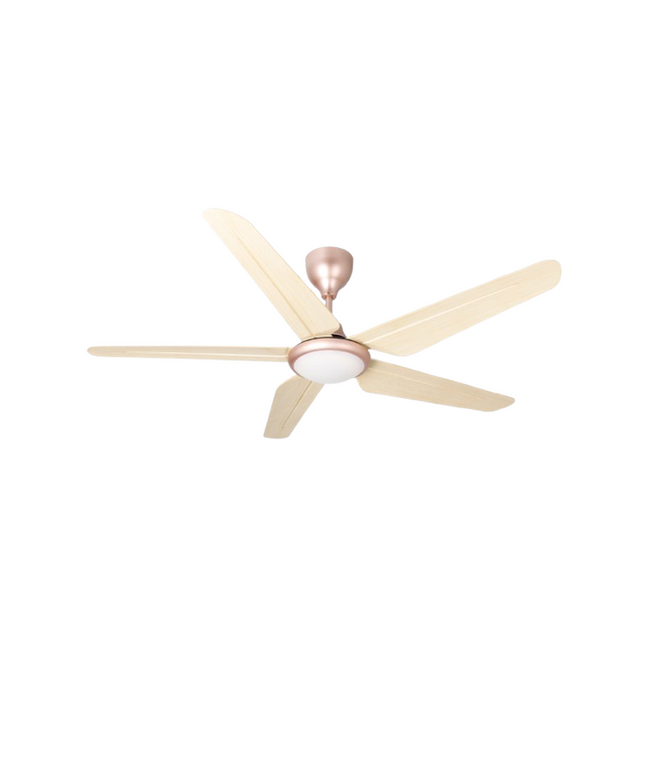 TWIN PACK - Rubine KAZEN Series RCF-KAZEN56-5BL-HP/RO - Honey Pine / Royal Oak