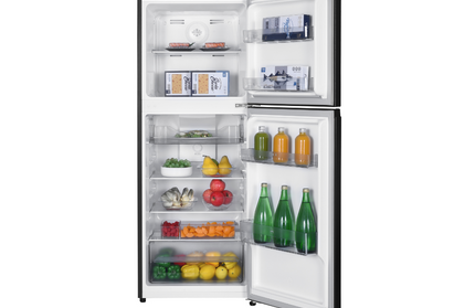 ELBA 250L TOP MOUNT FRIDGE ER-Q2638(SV)
